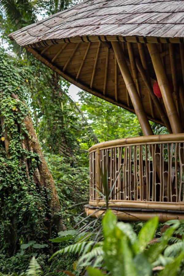 Bamboo Turtles Lodge *