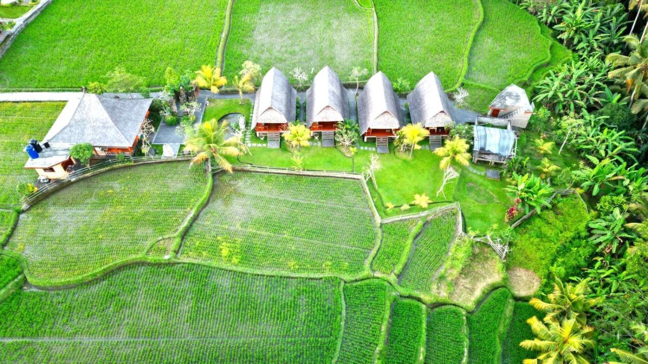 Gandalangu Ubud-dikelilingi Hamparan Sawah *