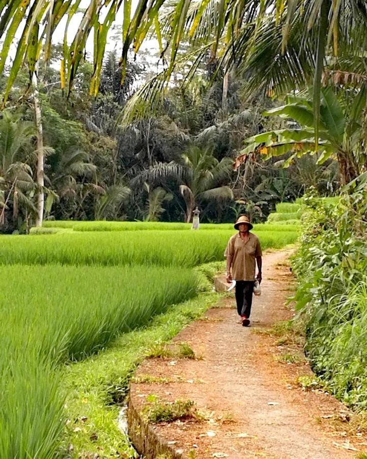 Bed & Breakfast Taman Eden Ubud (Bali)