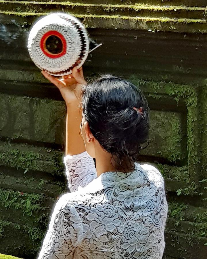 Taman Eden Bed & Breakfast Ubud (Bali)