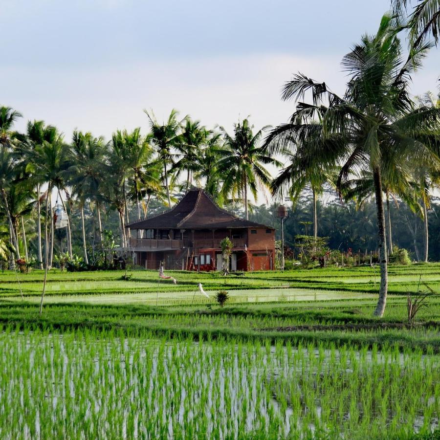 Taman Eden Ubud (Bali)