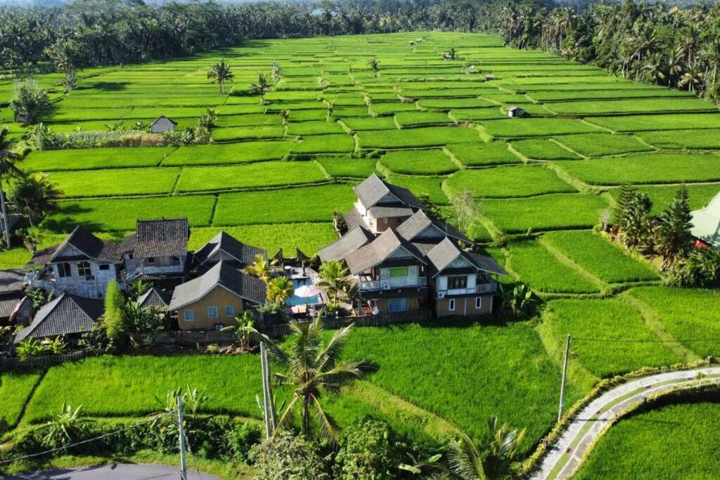 Ananda Jj & Resort Ubud