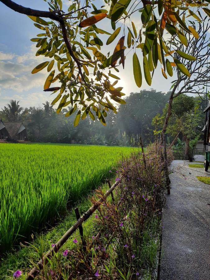 Gandalangu Ubud-dikelilingi Hamparan Sawah Ubud (Bali)