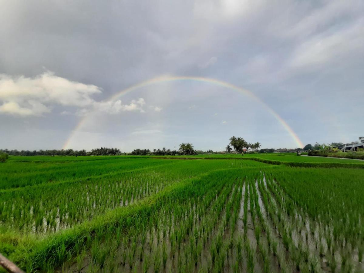 Lodge Gandalangu Ubud-dikelilingi Hamparan Sawah *