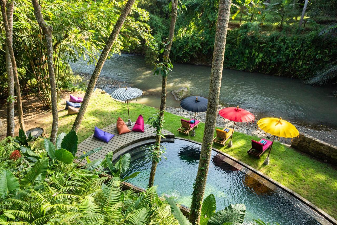 Lodge Bamboo Turtles *
