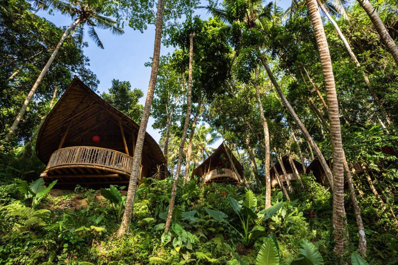 Bamboo Turtles Lodge *