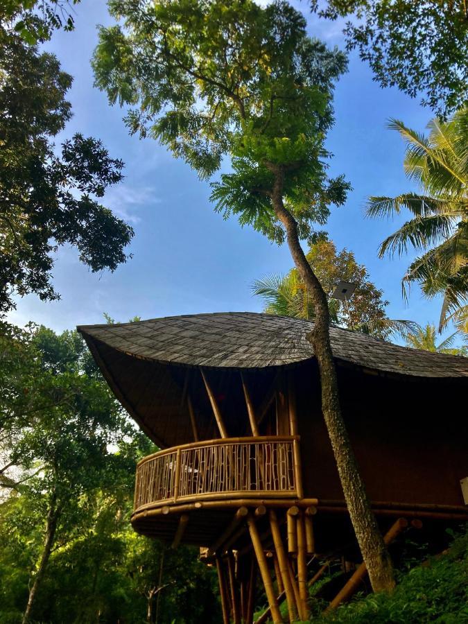 Lodge Bamboo Turtles Ubud (Bali)