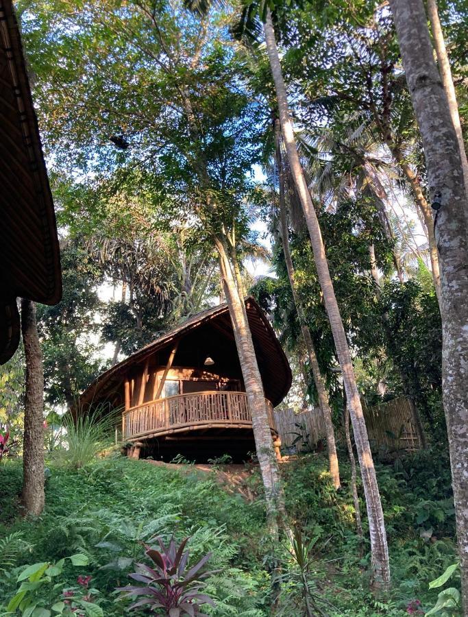 Bamboo Turtles Lodge *