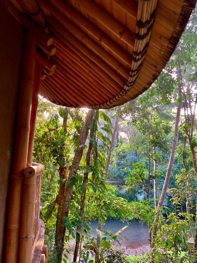 Bamboo Turtles Lodge *