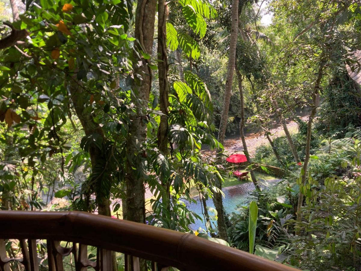 Bamboo Turtles Lodge Ubud (Bali)
