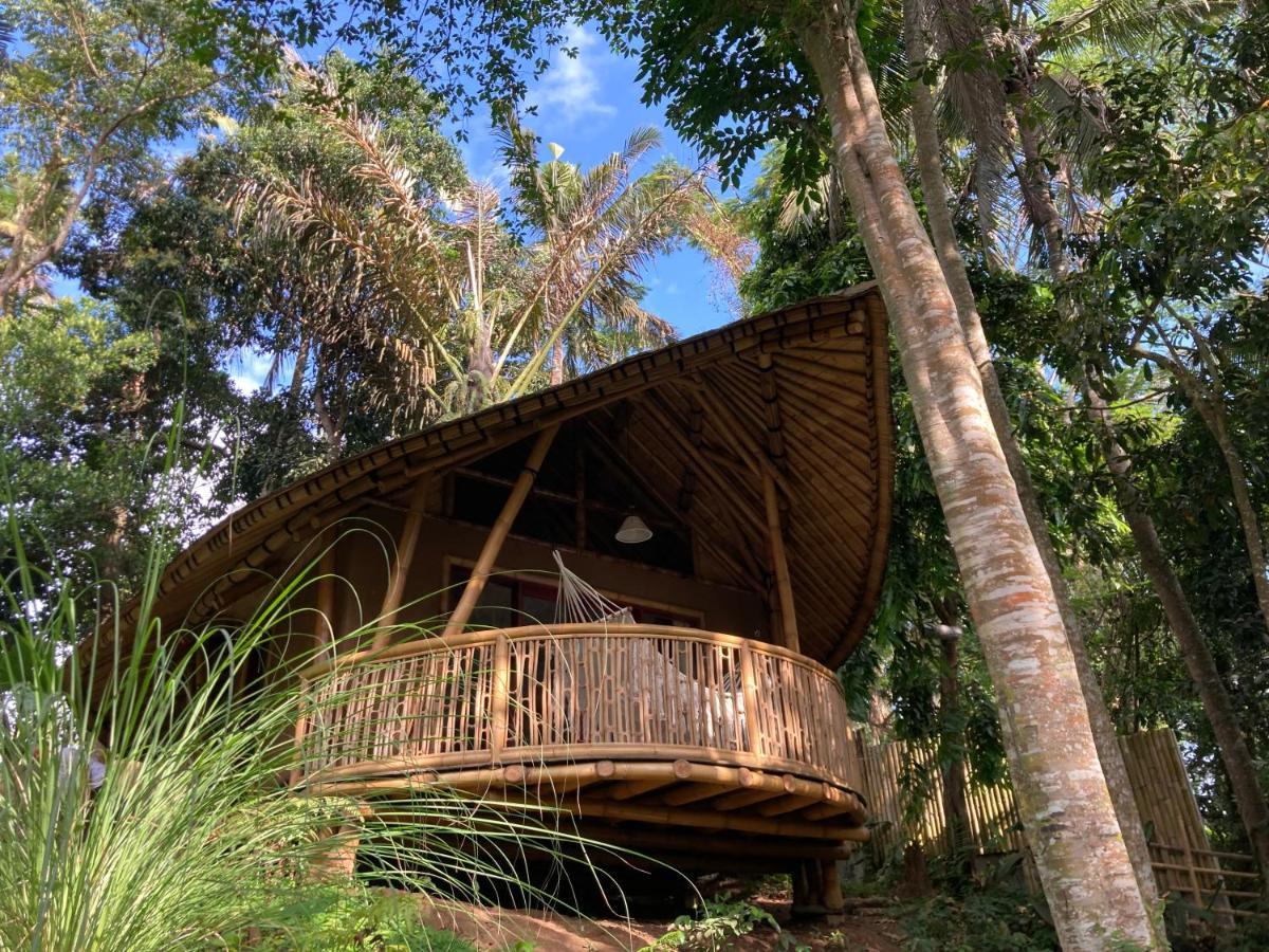 Bamboo Turtles Lodge