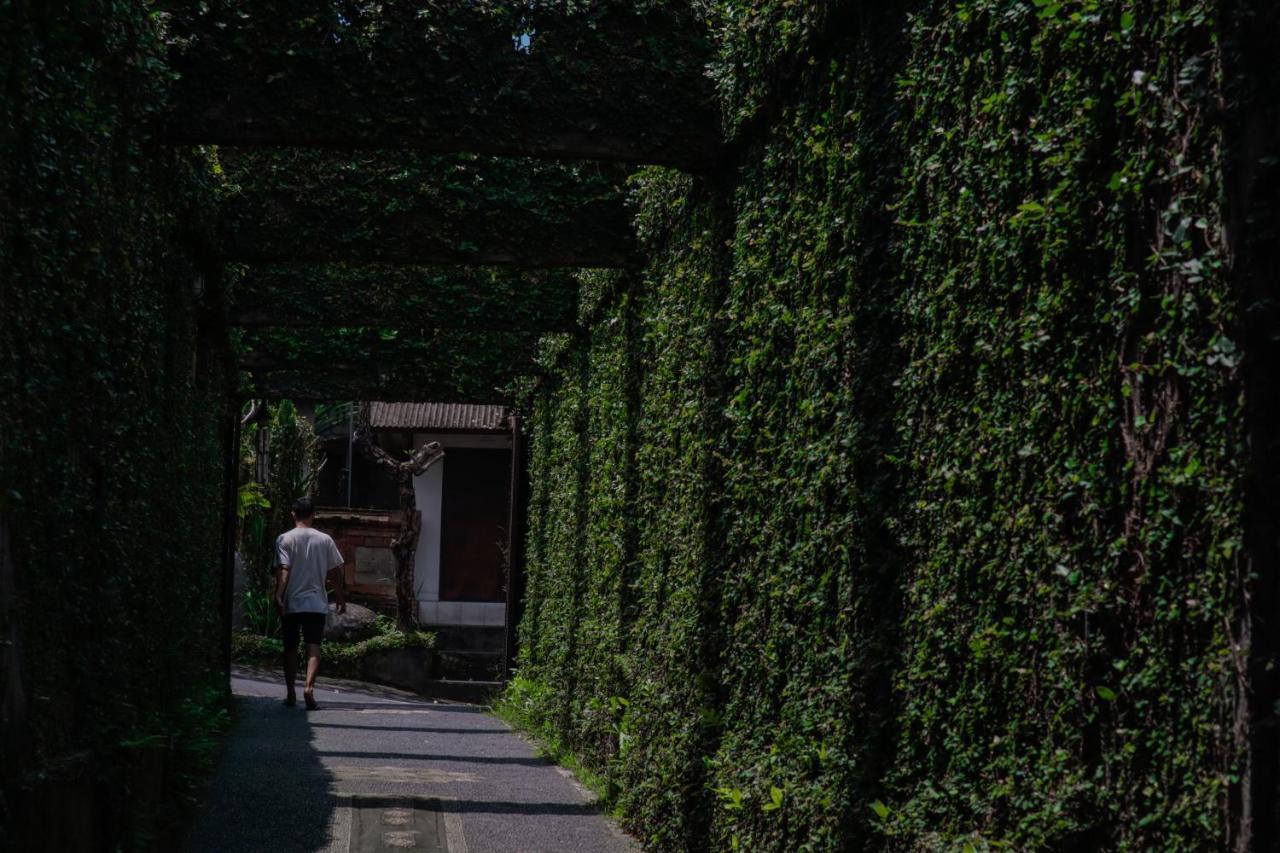 Lodge Legon House Ubud (Bali)
