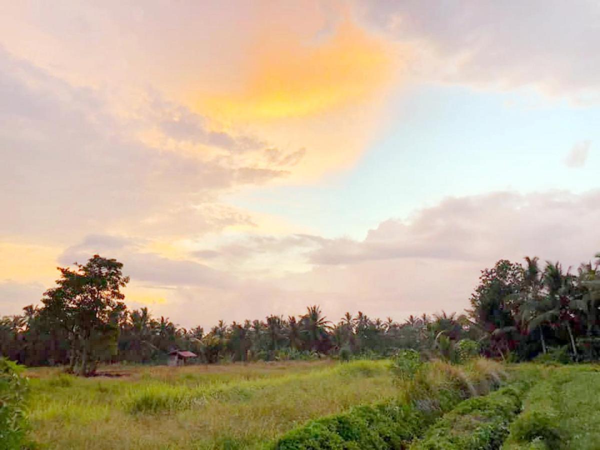 Shivananda Antique By Eps