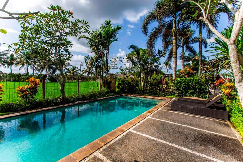 Mandi & Hotel Ubud (Bali)