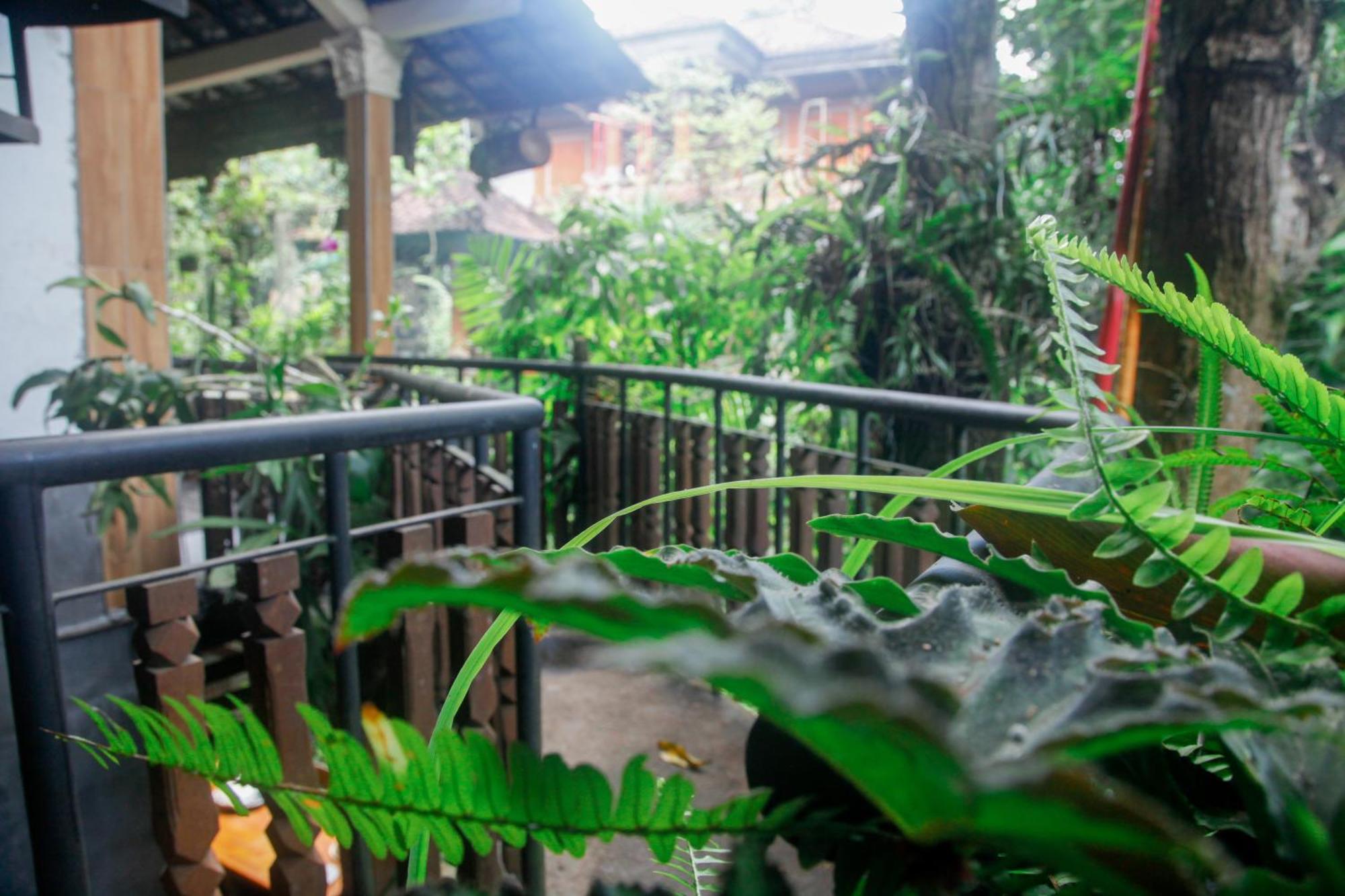 Lodge Legon House Ubud (Bali)