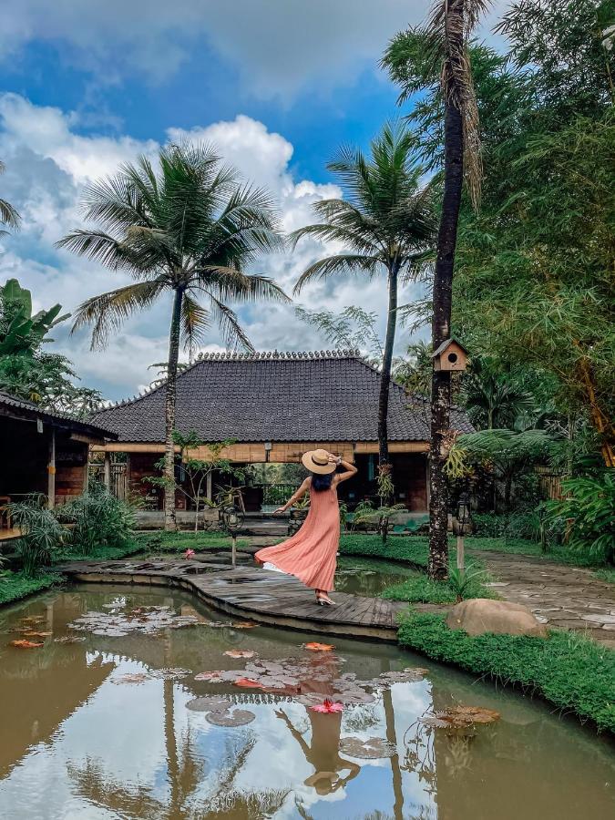 Korurua Dijiwa