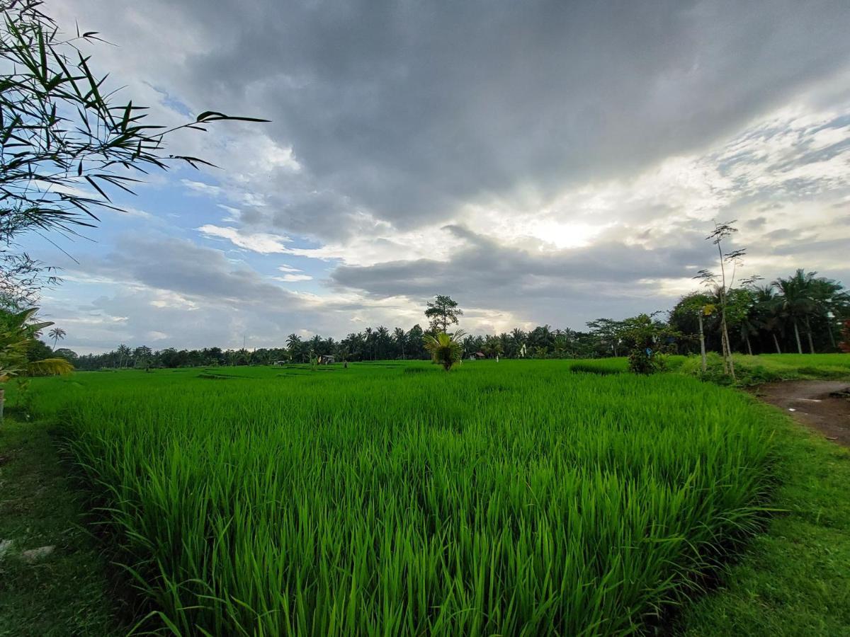 Shivananda Antique By Eps Ubud (Bali)