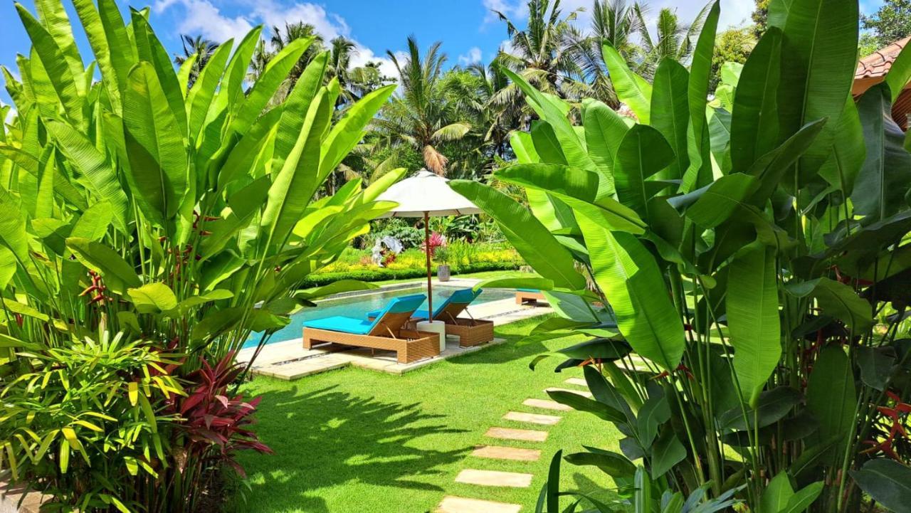 Bed & Breakfast Taman Eden Ubud (Bali)