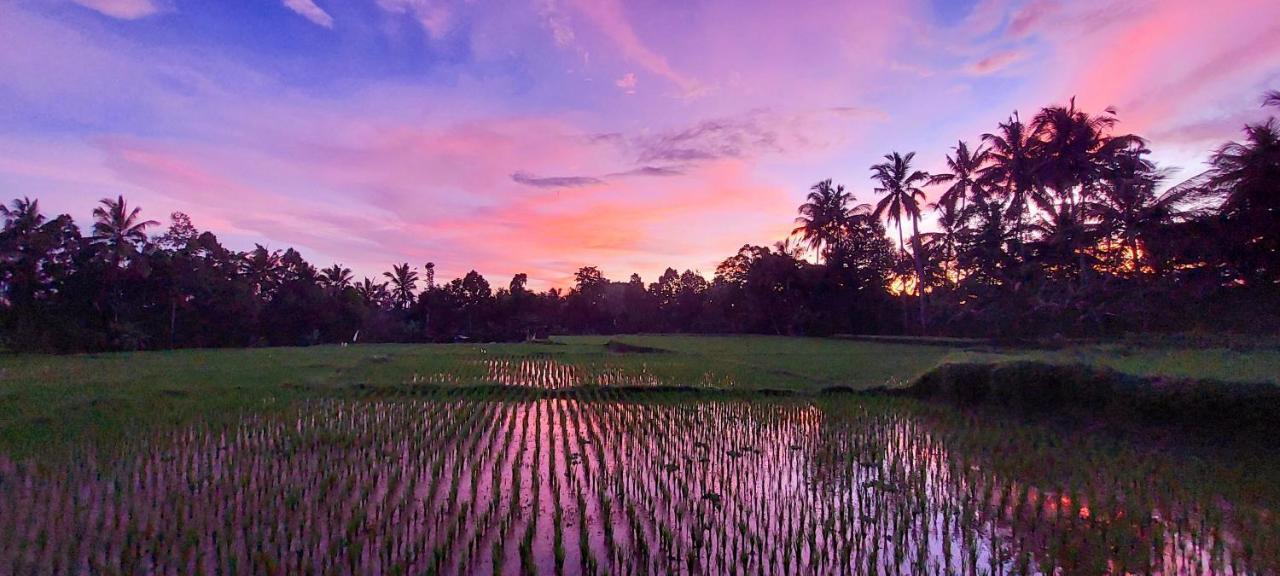 Taman Eden Ubud (Bali)