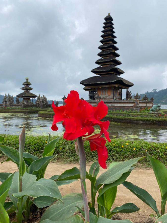 Wina Gasthof Ubud