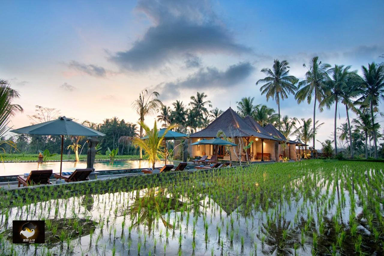 Intan Moding * Ubud (Bali)