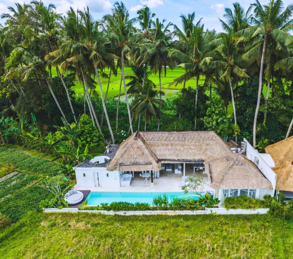 Luxe Design Ubud (Bali)