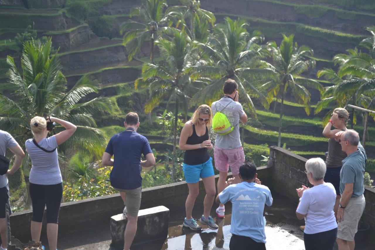 Bali Culture Guest house