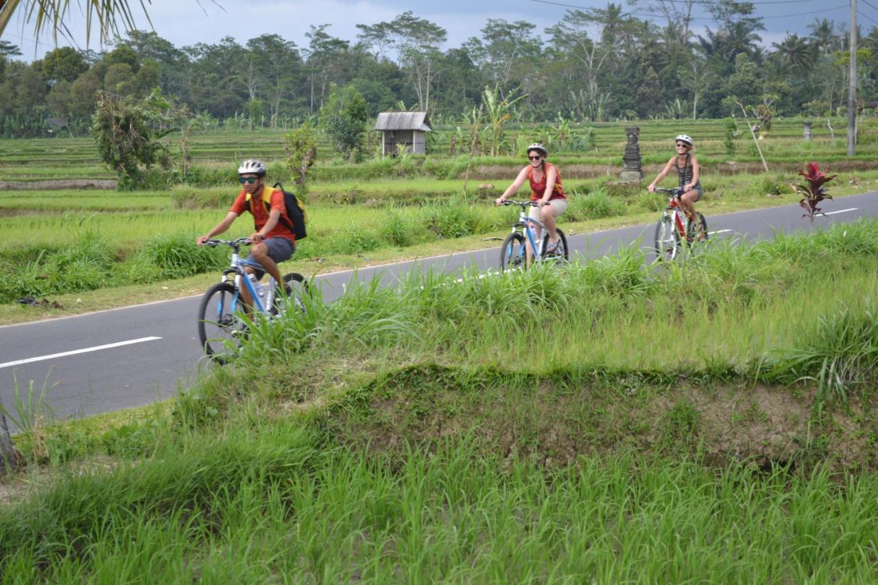 Guest house Bali Culture Ubud (Bali)