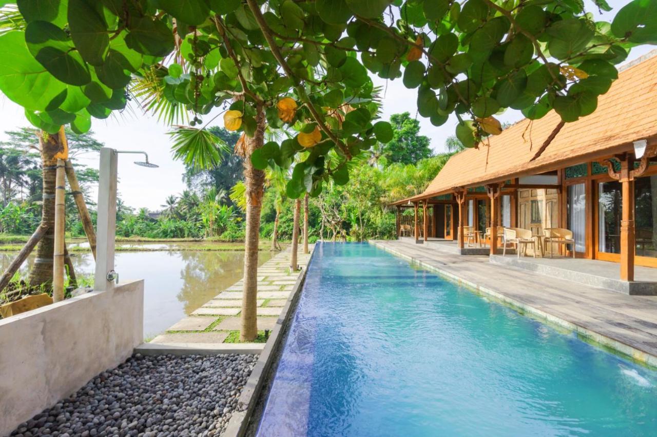Nayaka Living * Ubud