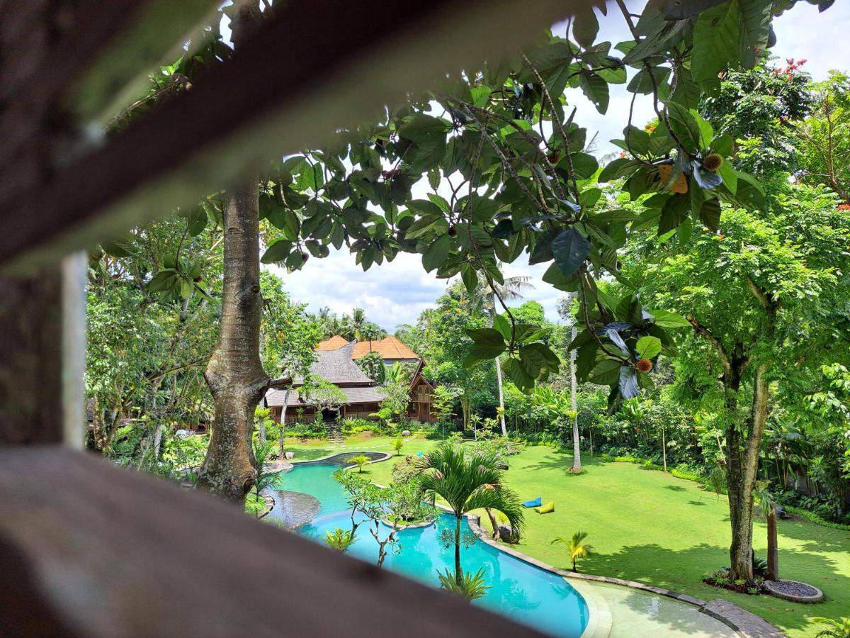 Holiday park Tree House Ubud (Bali)