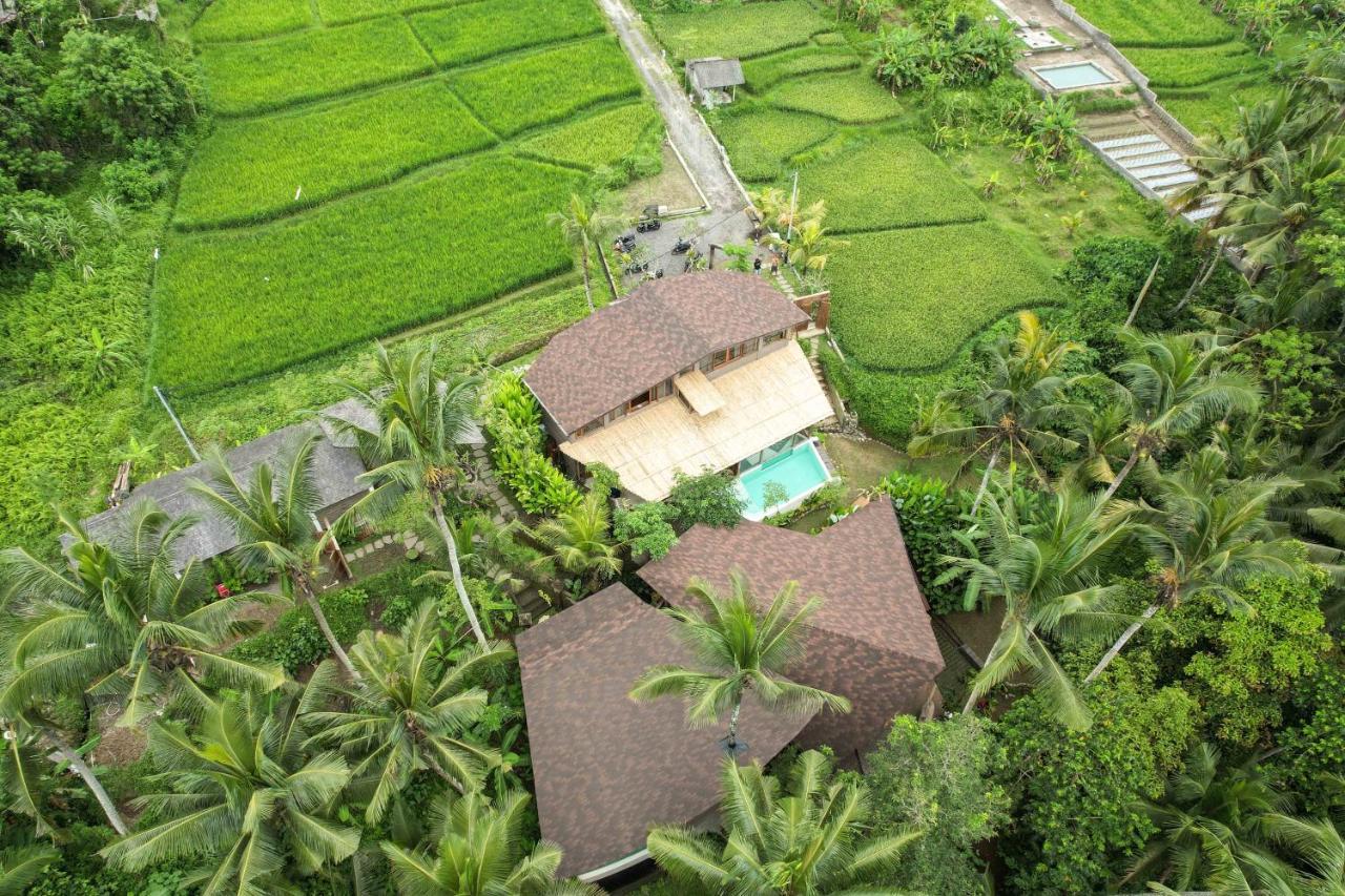 Casa Pohon Villa *