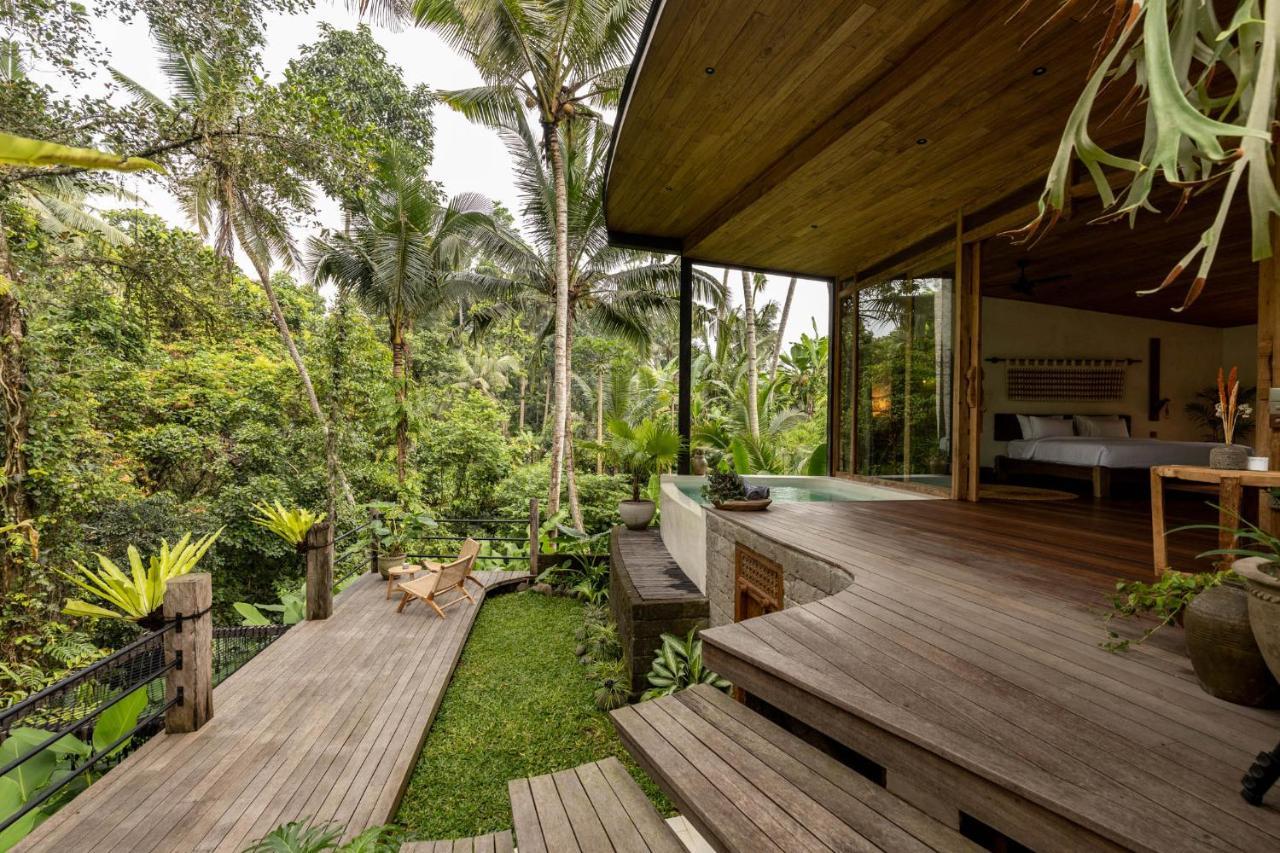 Casa Pohon