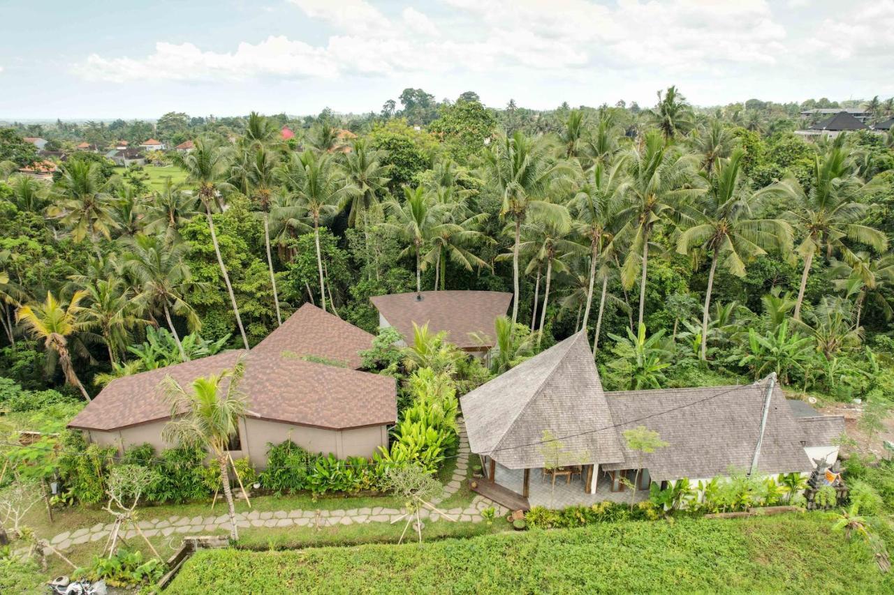 Casa Pohon Villa