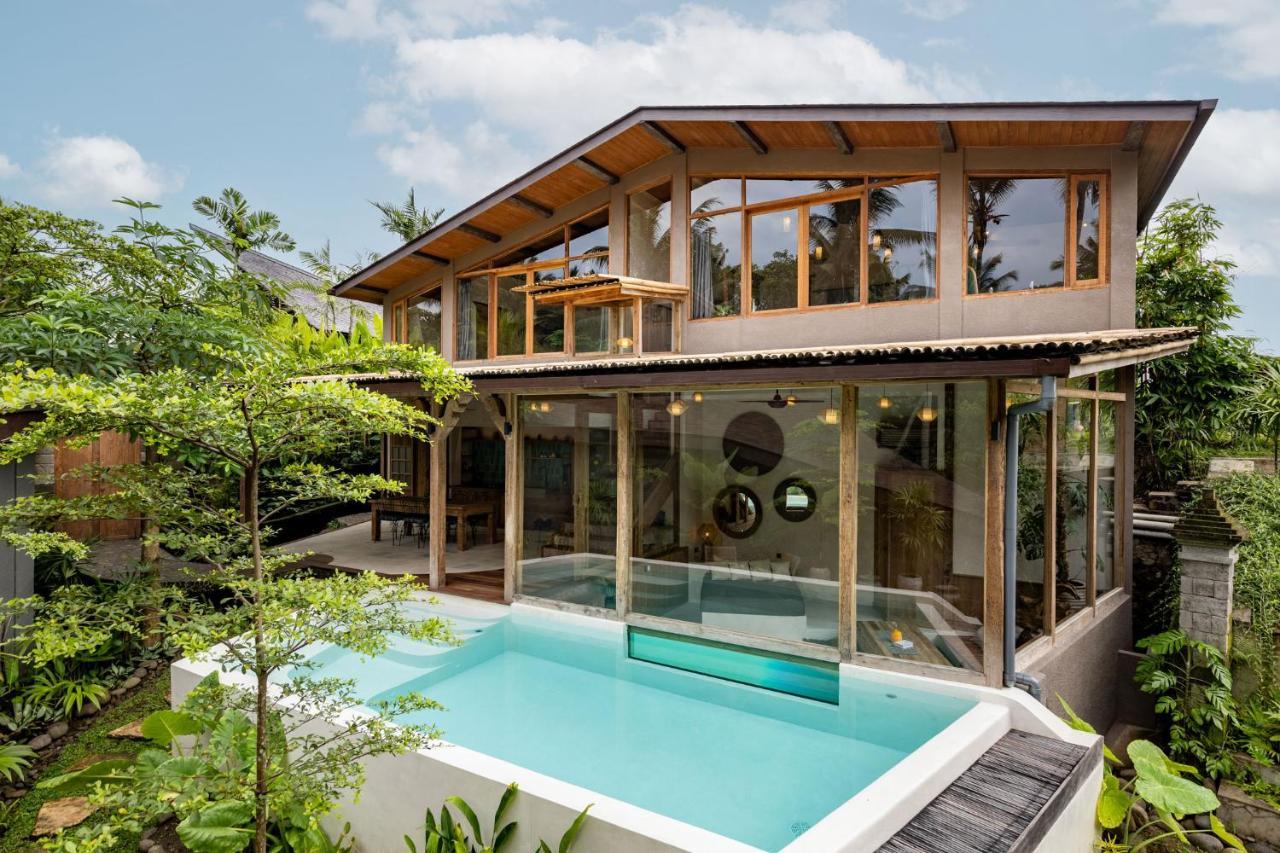 Casa Pohon