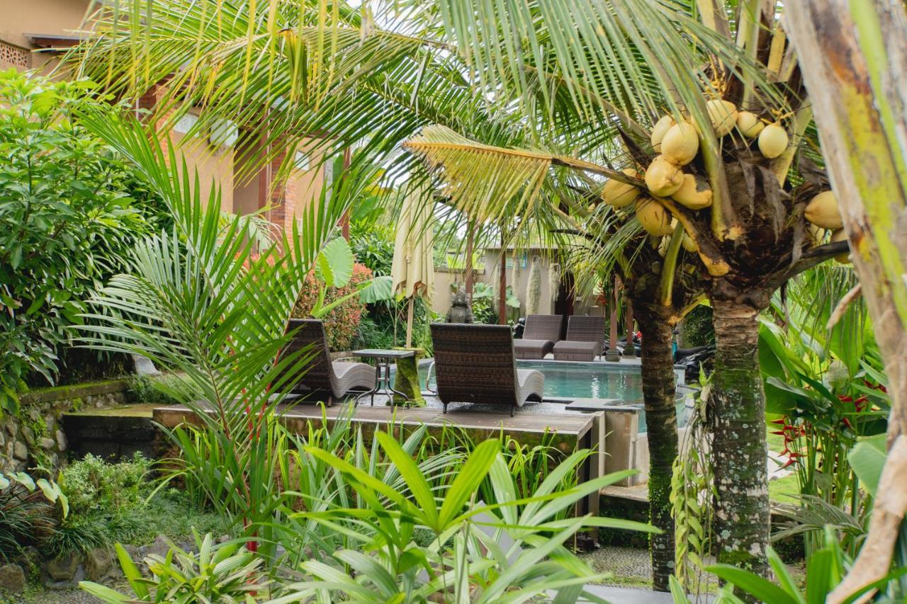 Mancur Guest house 2*