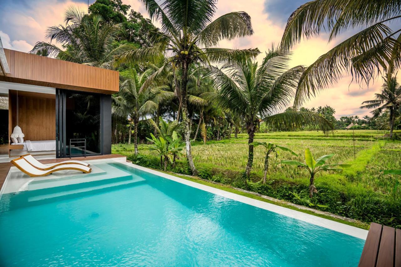 Villa Flow 3 *