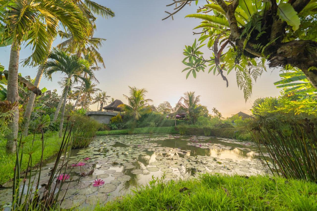 Uma Dawa Resort&Spa