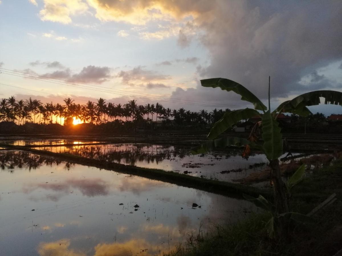 Mon Reve Vila Ubud (Bali)