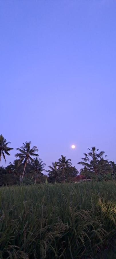 Galang Hari Ubud (Bali)