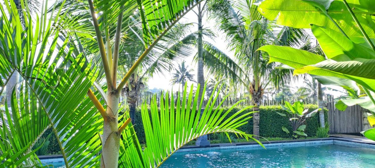 Galang Hari Bed & Breakfast Ubud (Bali)