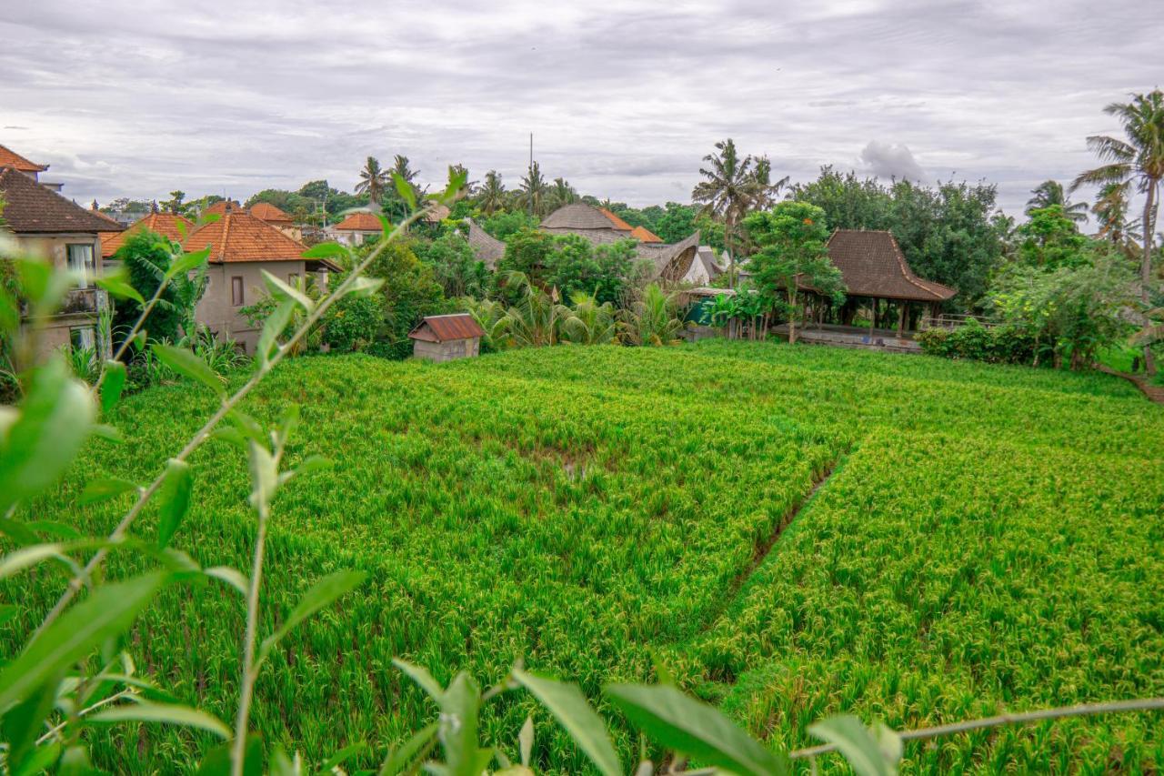 Artini Bisma Hotel Ubud (Bali)