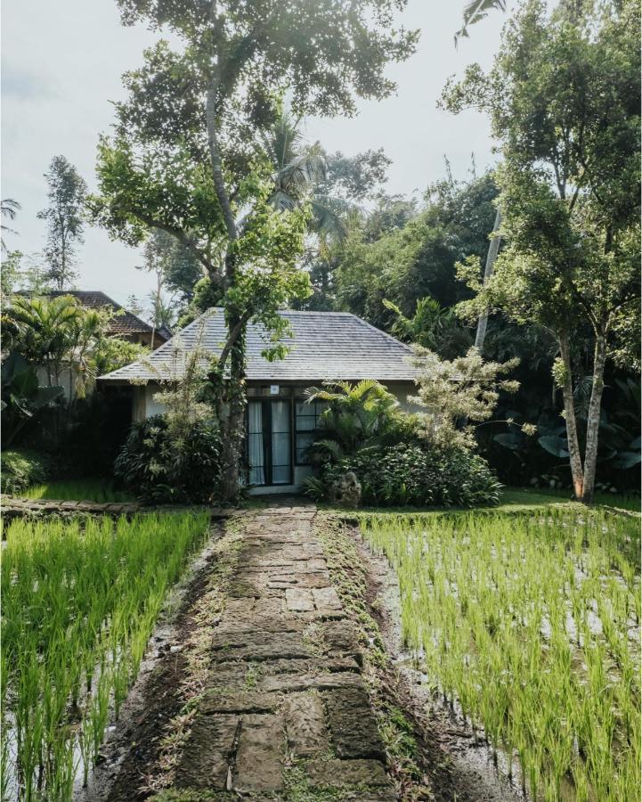 Bedulu Cliff Estate - Wood Side Ubud (Bali)