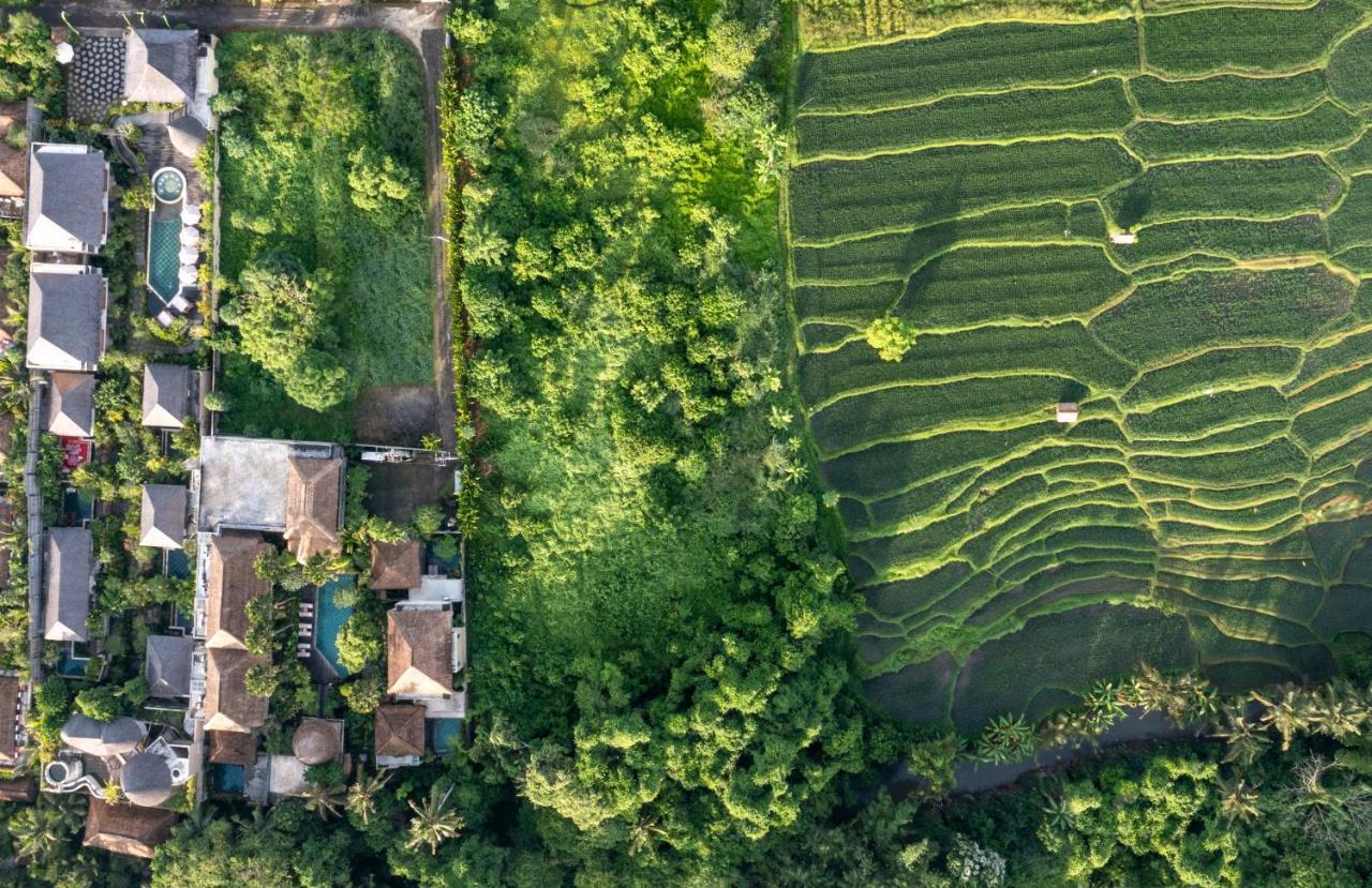 The Alena A Pramana Experience Resor Ubud (Bali)