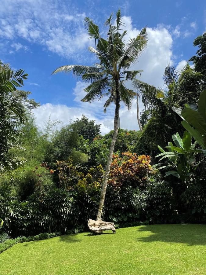 Villa Alamanda