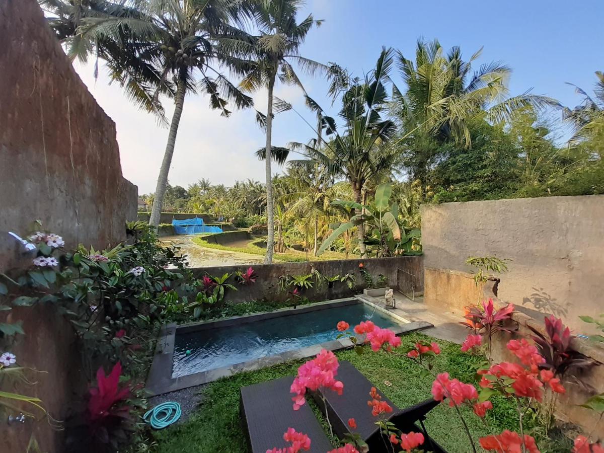 Hidden Point Villa *