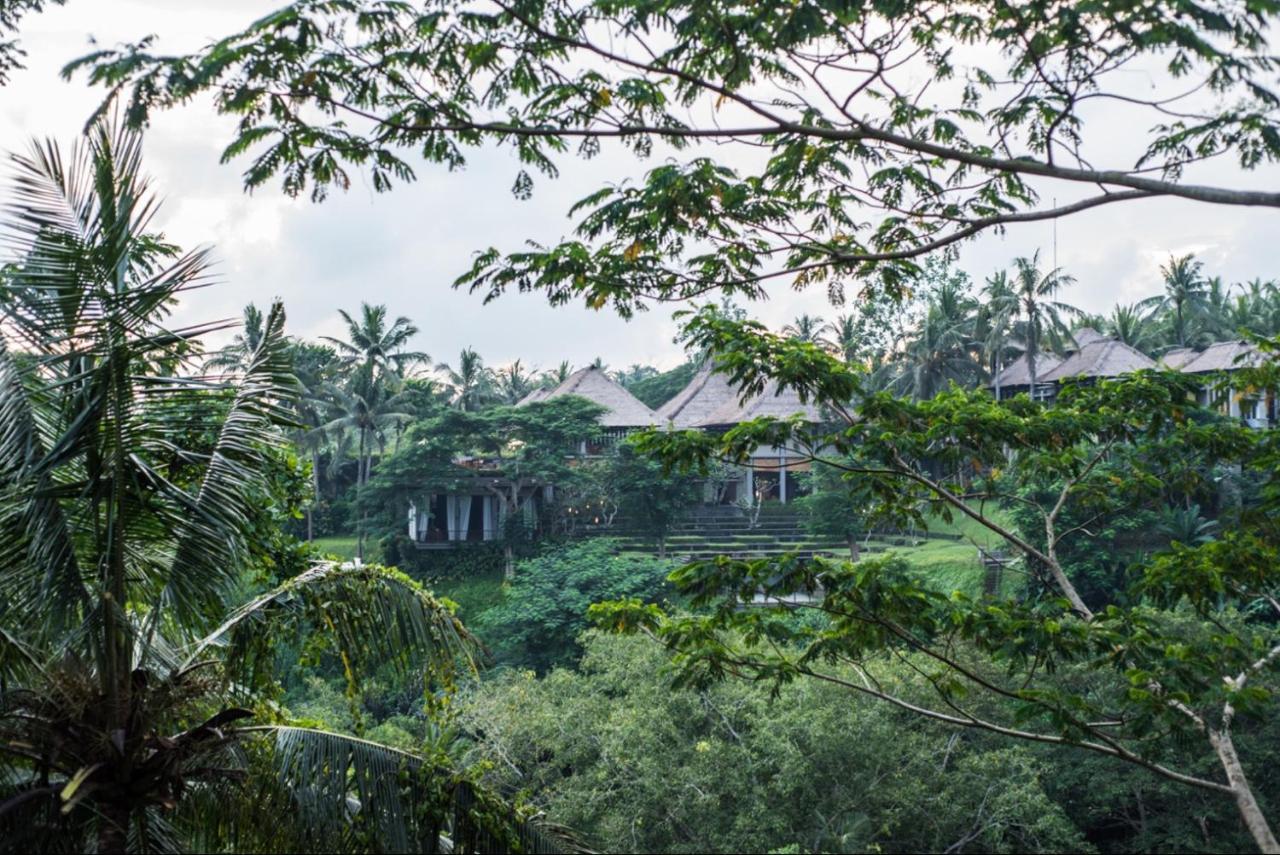 Hidden Gem Pangsapuri Ubud (Bali)