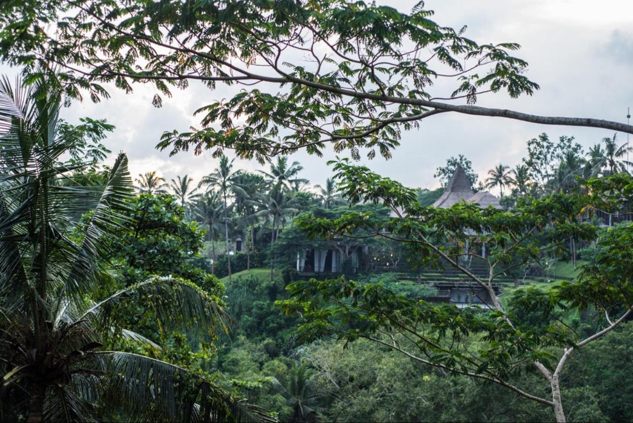 Hidden Gem * Ubud (Bali)