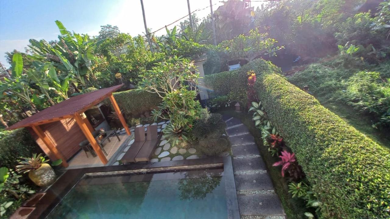 Paradise *