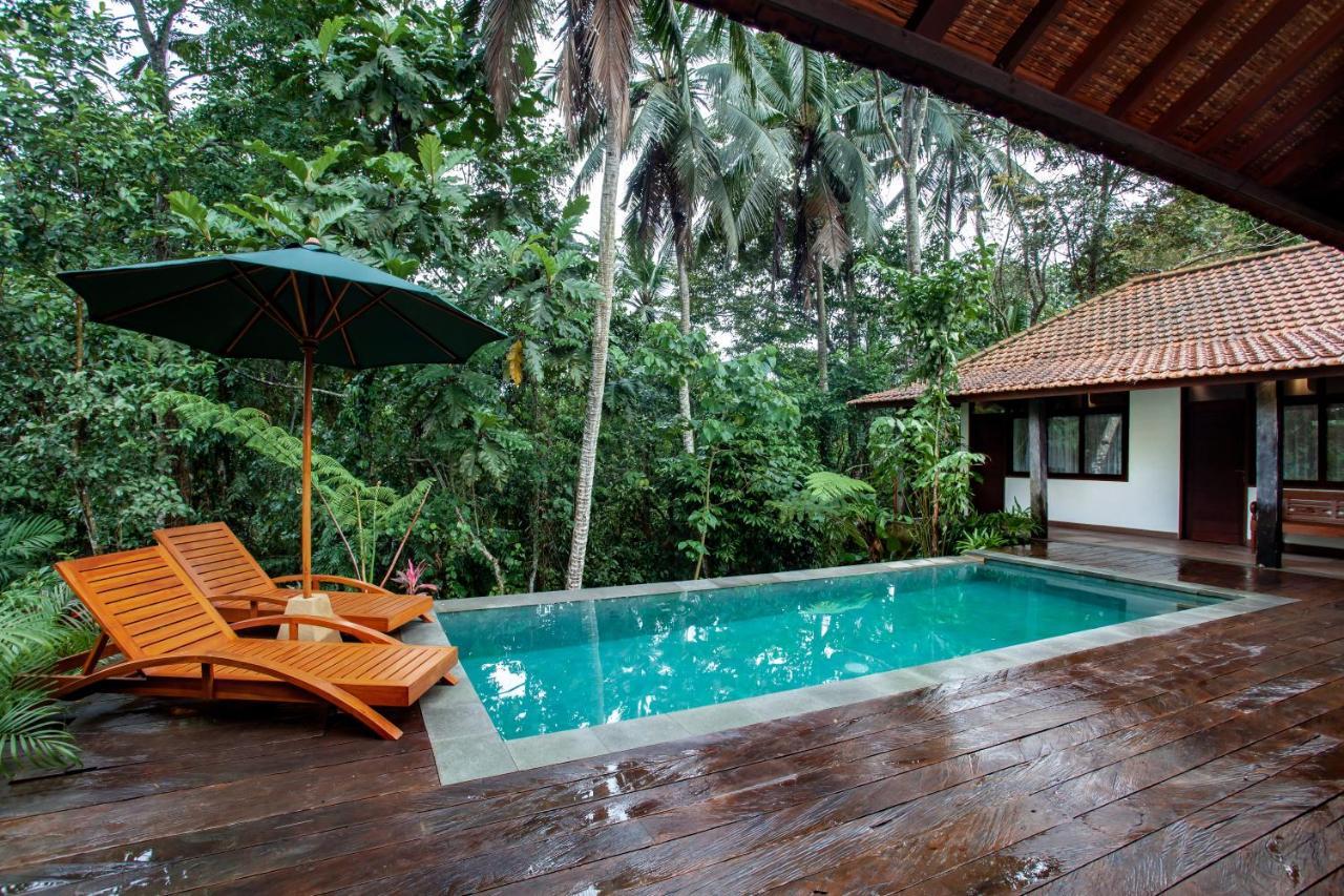 3 Bedroom Gadang Apartment Ubud (Bali)