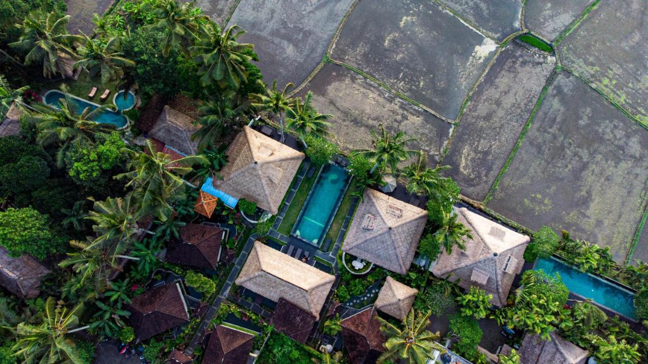 Lodtunduh Sari Taman percutian Ubud (Bali)